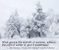 /album/think-positive-info/steinbeck-2-jpg/